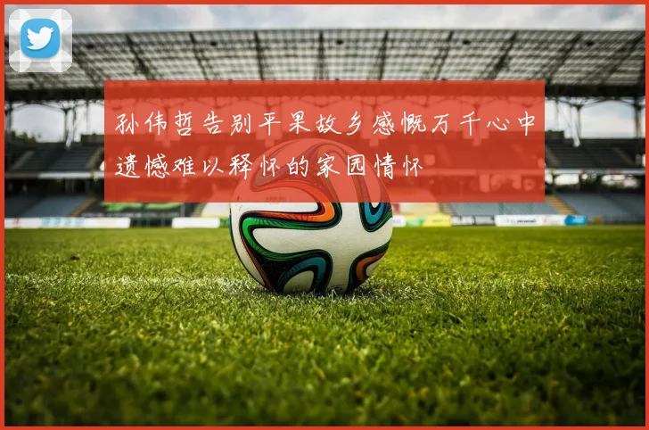 孙伟哲告别平果故乡感慨万千心中遗憾难以释怀的家园情怀