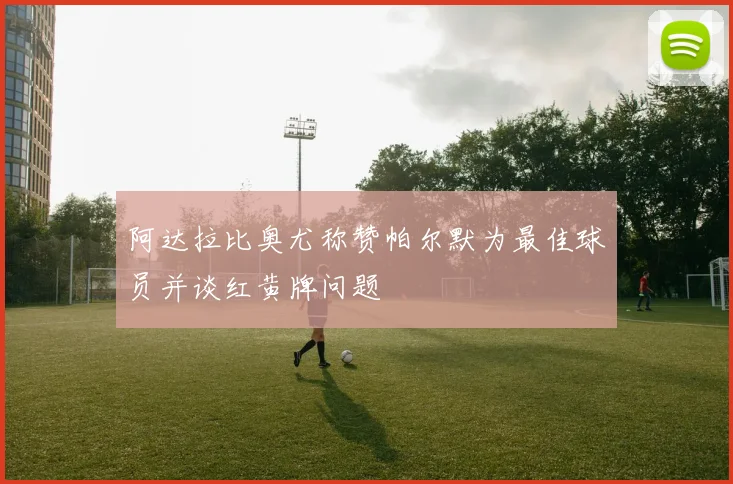 阿达拉比奥尤称赞帕尔默为最佳球员并谈红黄牌问题