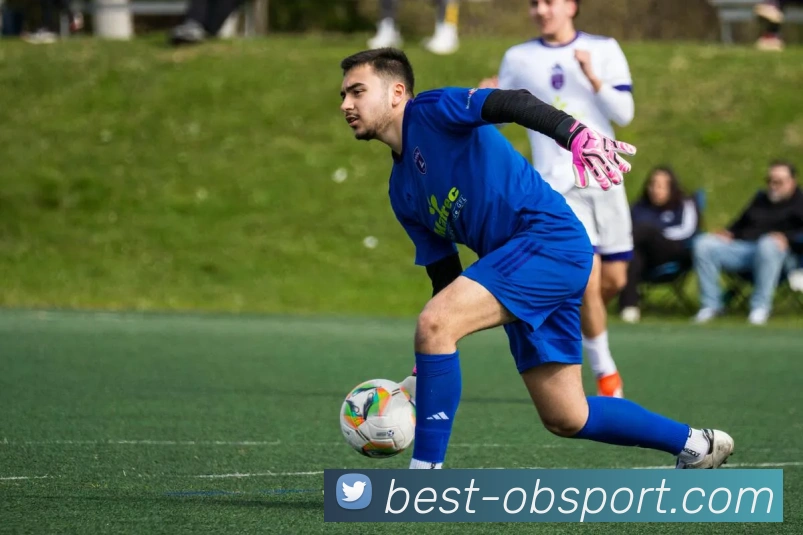 OB体育APP 封面图